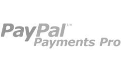 Paypal Pro