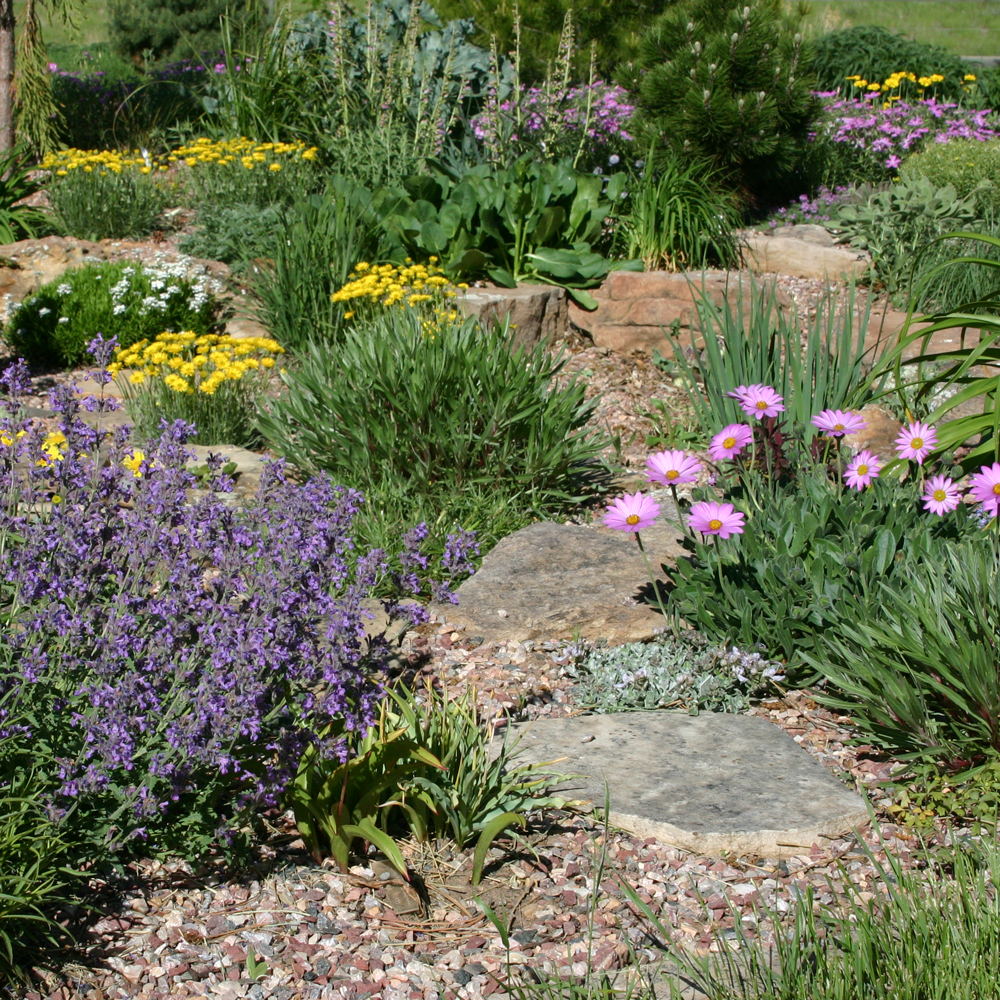 Zeroscaping – Or Xeriscaping Your Garden