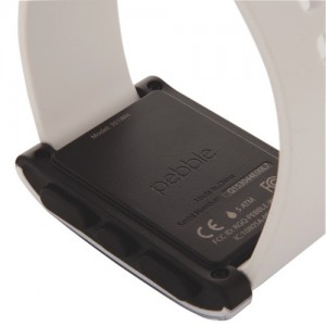pebble 301wh