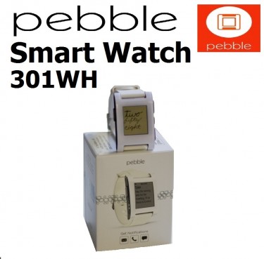 pebble 301wh