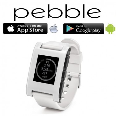 pebble 301wh