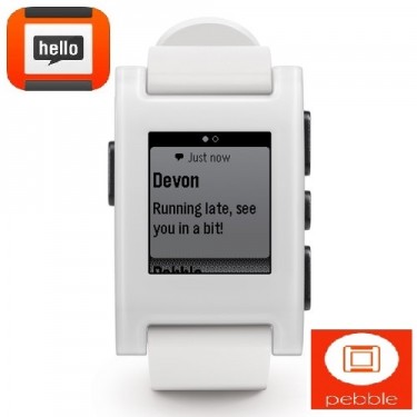 pebble 301wh
