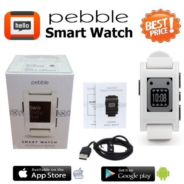 pebble 301wh