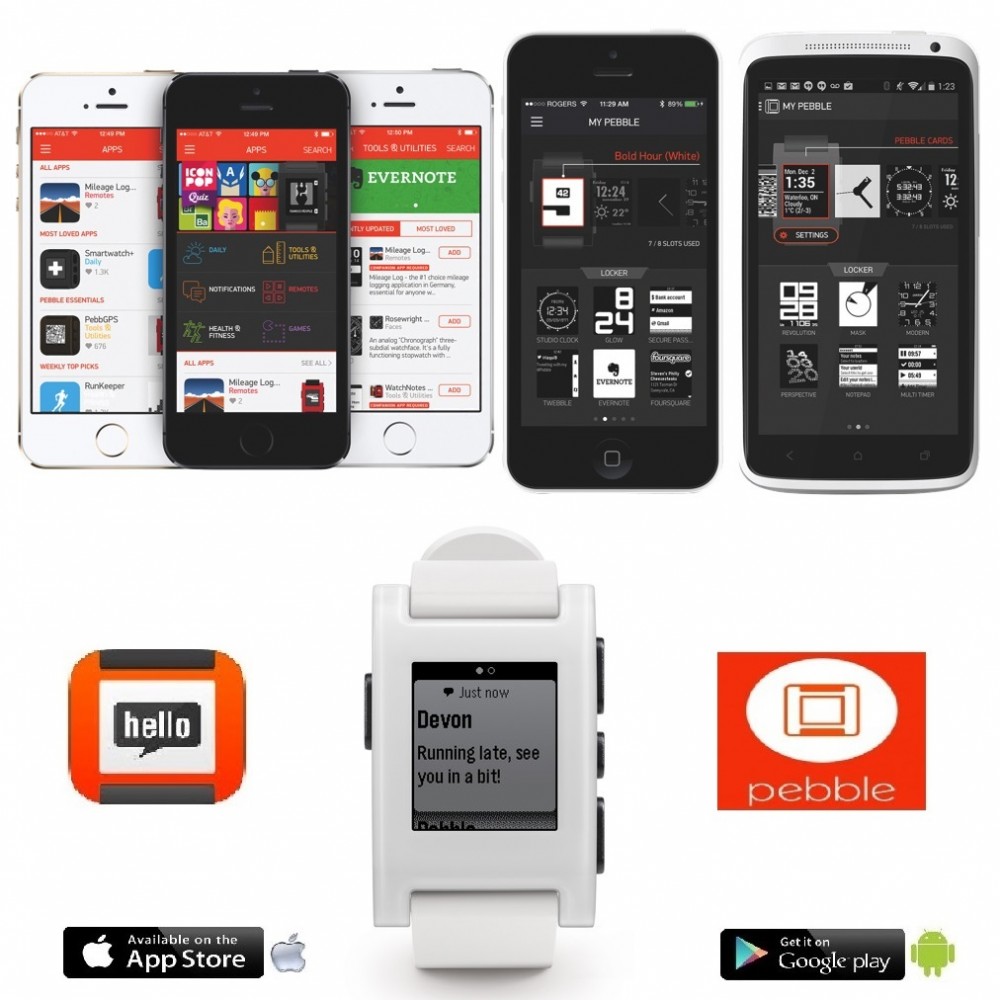 pebble 301wh