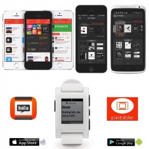 pebble 301wh