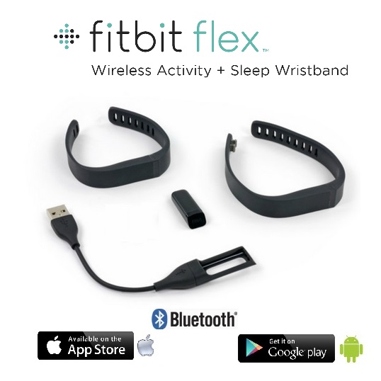 fitbit fb401bk